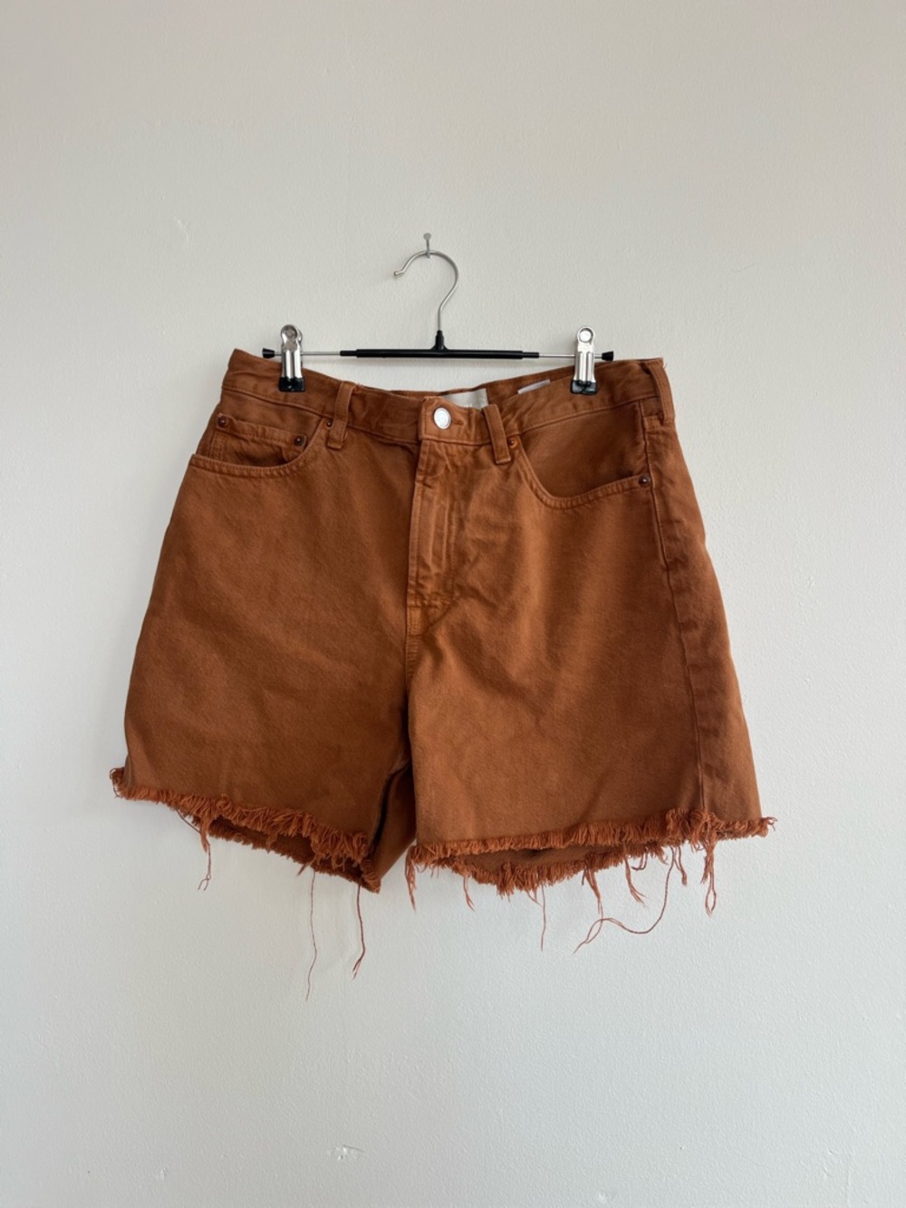 Everlane “ the denim short “High-Waist Frayed Hem Women’s Shorts — Rust Brown